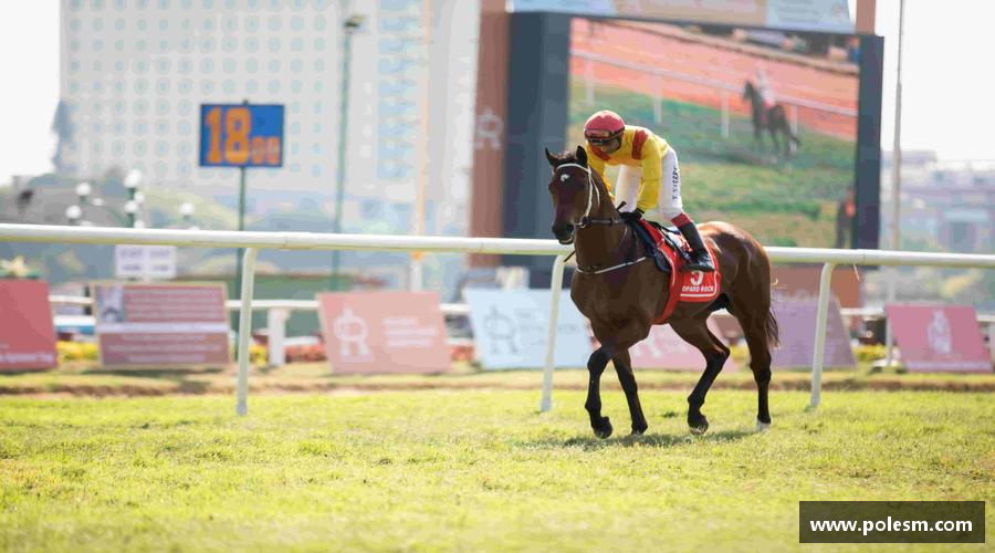 彩神vll无惧失败，追逐胜利！